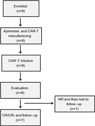 Long-Term Safety and Efficacy of CD19 Humanized Selective CAR-T Therapy in B-ALL Patients Who Have Previously Received Murine-Based CD19 CAR-T Therapy